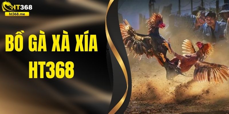 Bồ Gà Xà Xía – Khám Phá Các Trận Chiến Siêu Hot Tại HT368