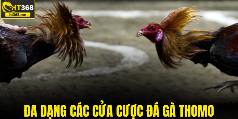 Đa dạng các cửa cược đá gà thomo