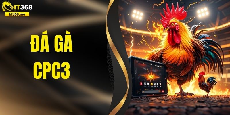 Đá Gà CPC3 - Xem Ngay Các Chiến Kê Triệu Đô Xuất Trận