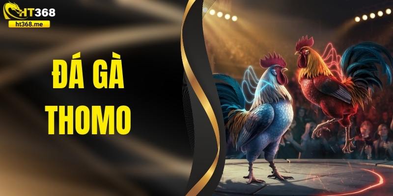 Đá Gà Thomo – Sân Đấu Cá Cược Đỉnh Cao Không Thể Bỏ Lỡ