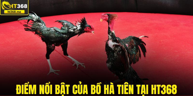 Điểm nổi bật của bồ Hà Tiên tại HT368