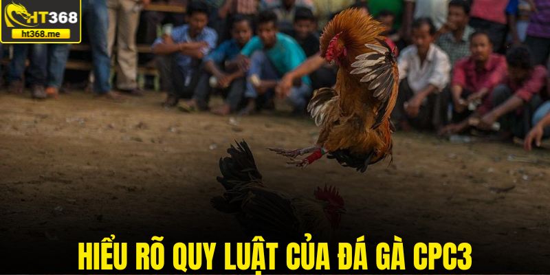 Hiểu rõ quy luật của đá gà CPC3
