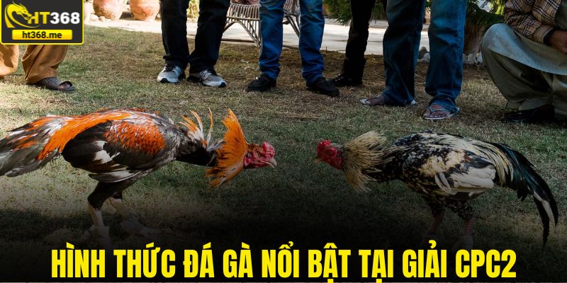 Hình thức đá gà nổi bật tại giải CPC2