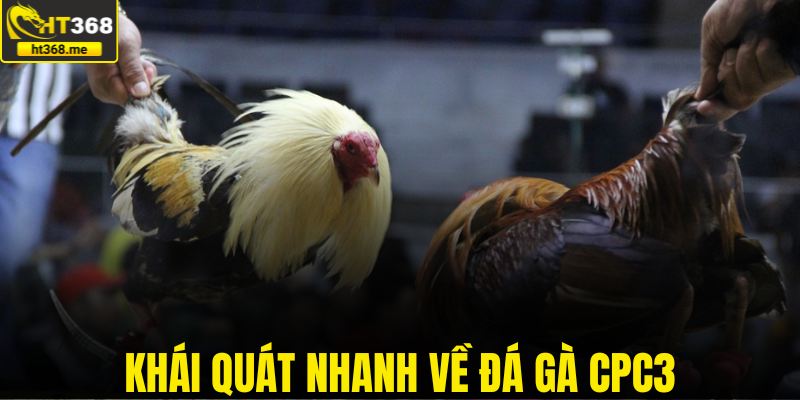 Khái quát nhanh về đá gà CPC3