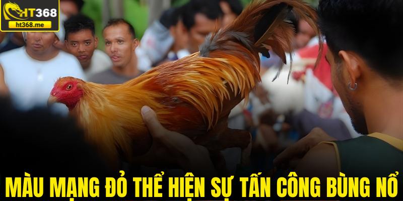 Màu mạng đỏ thể hiện sự tấn công bùng nổ
