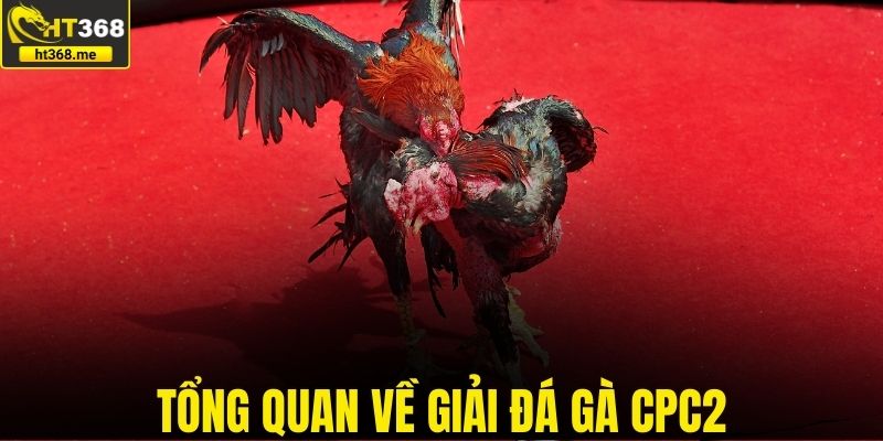Tổng quan về giải đá gà CPC2