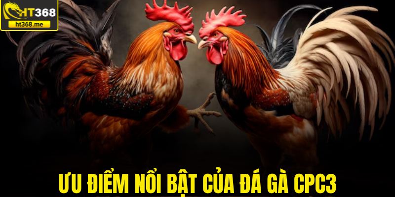 Ưu điểm nổi bật của đá gà CPC3